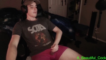 A_Beautiful_Cock  19-11-2021
